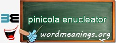 WordMeaning blackboard for pinicola enucleator